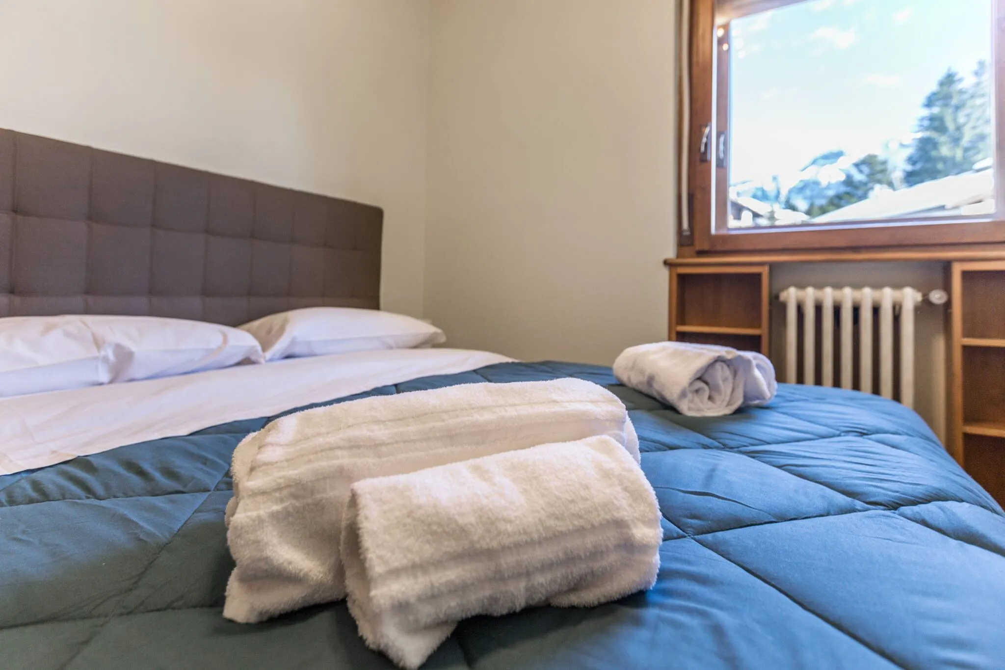 Cantore, Cortina - 13