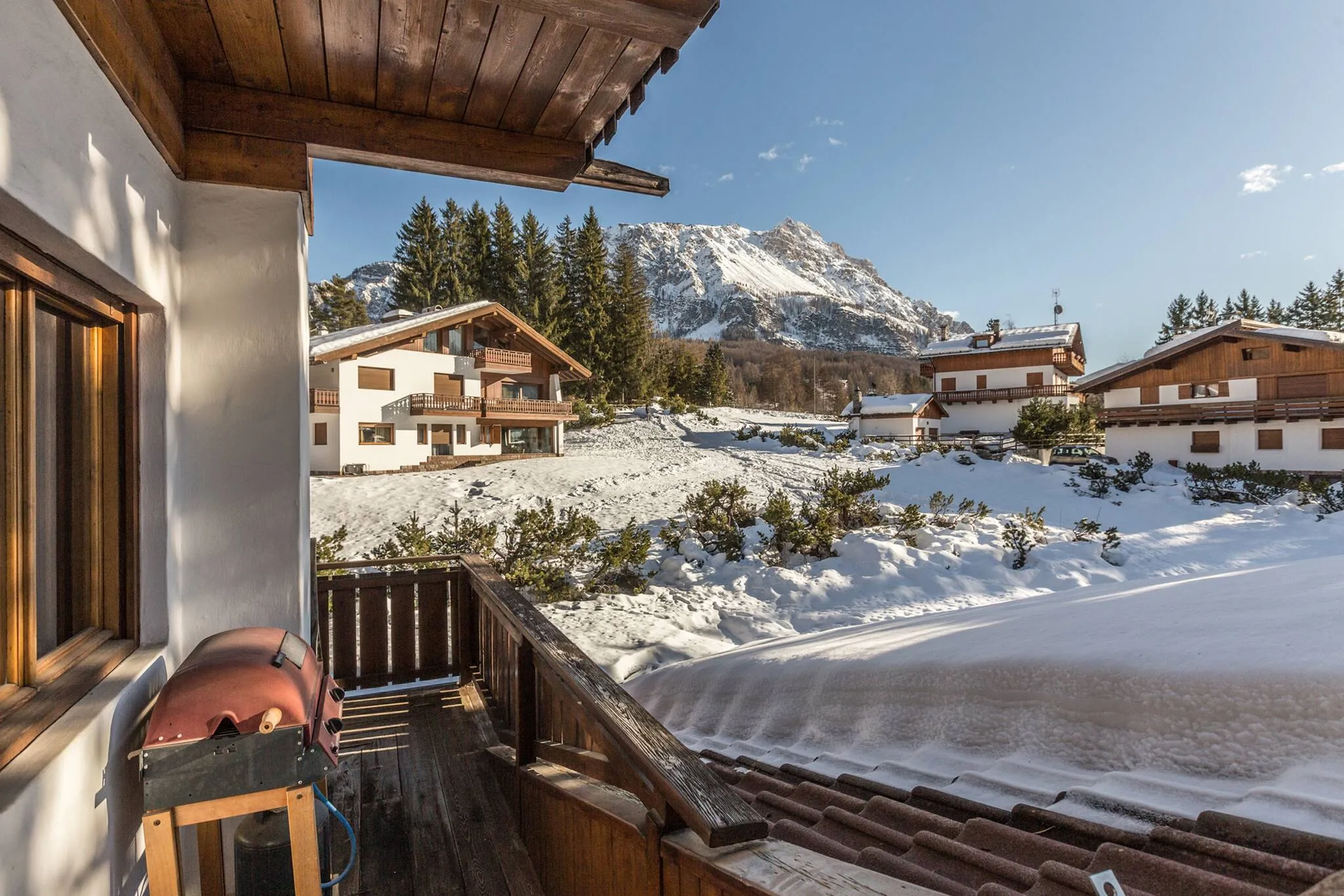 Cantore, Cortina - 49