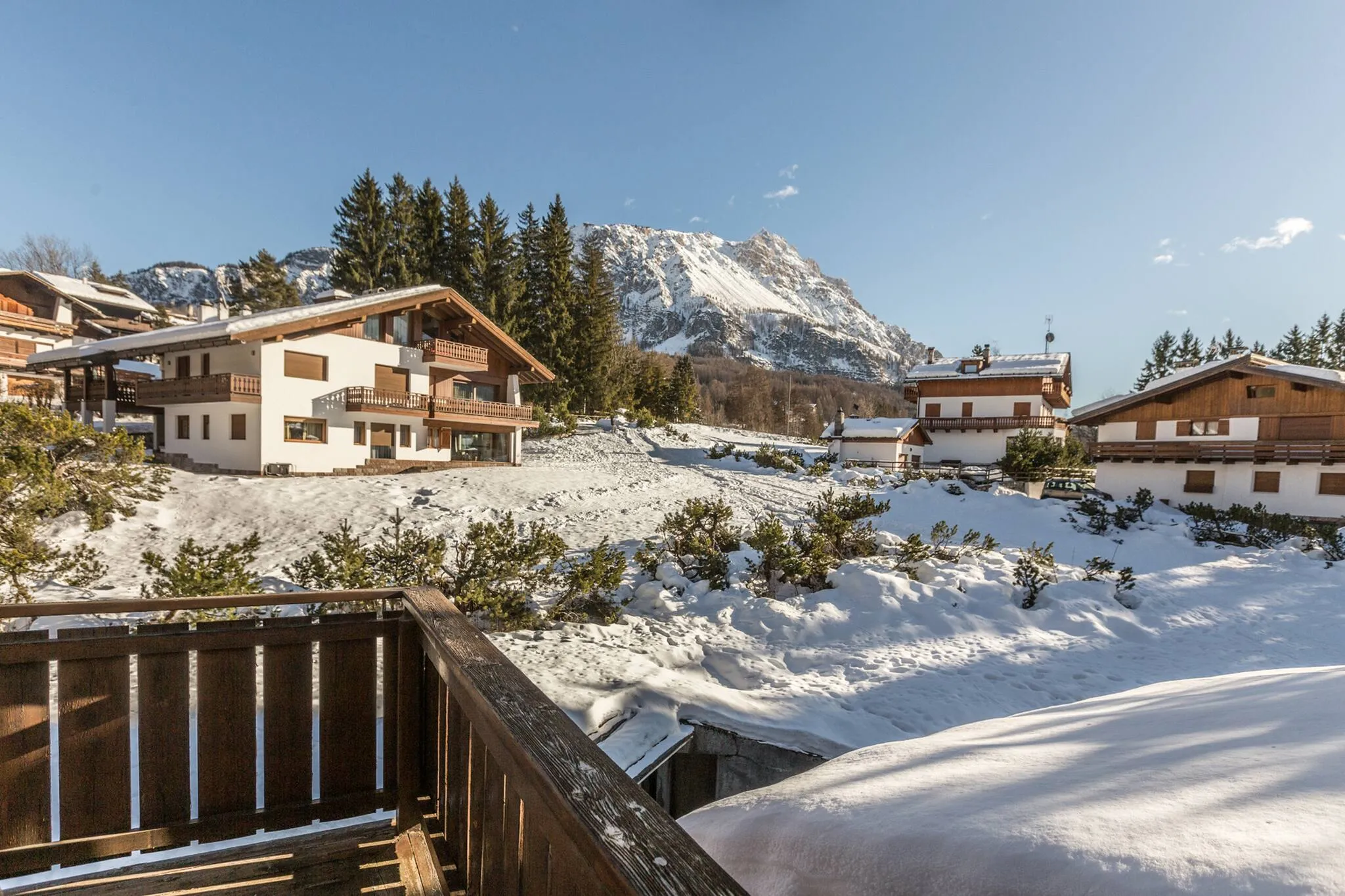 Cantore, Cortina - 50