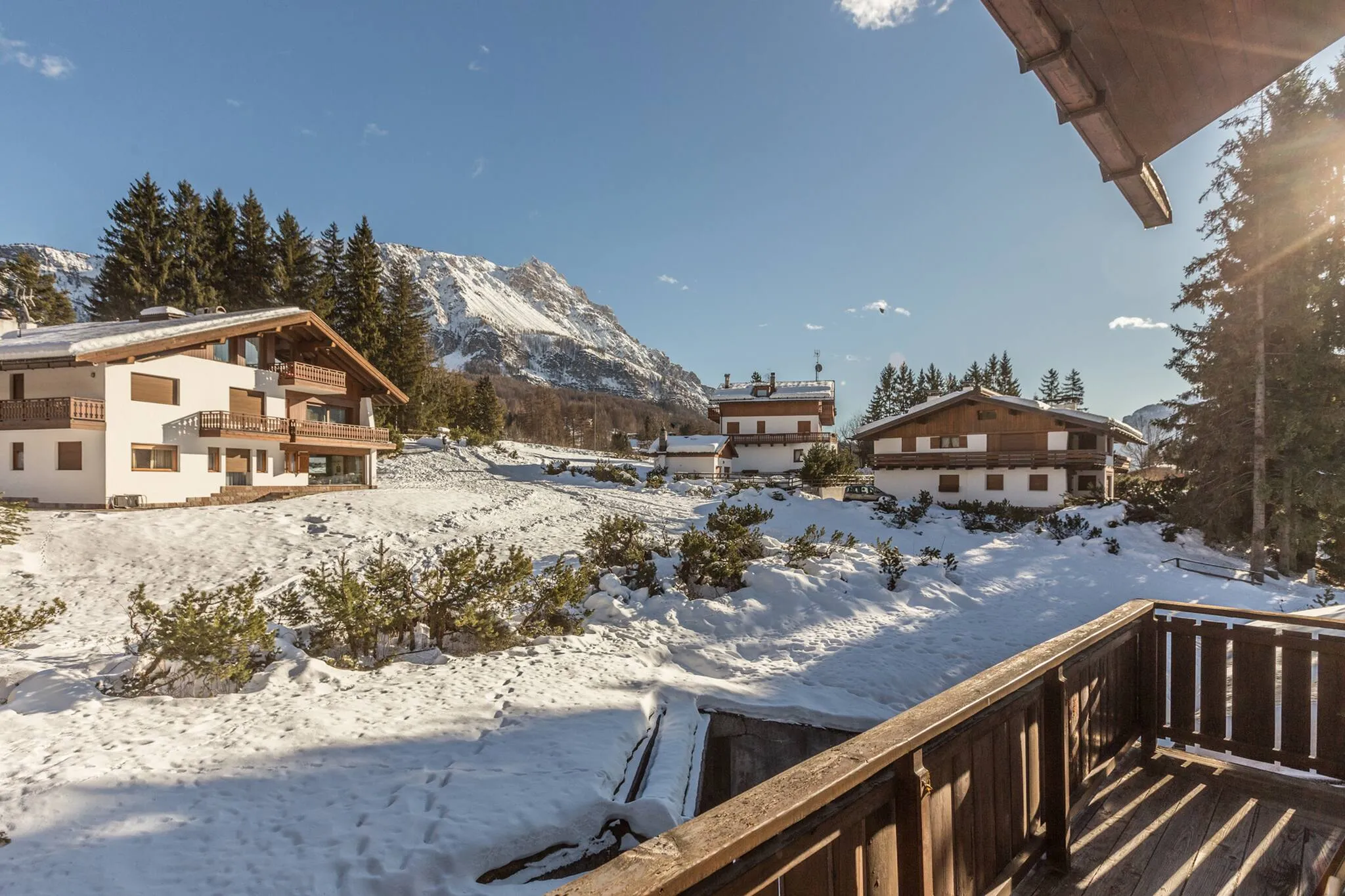 Cantore, Cortina - 53
