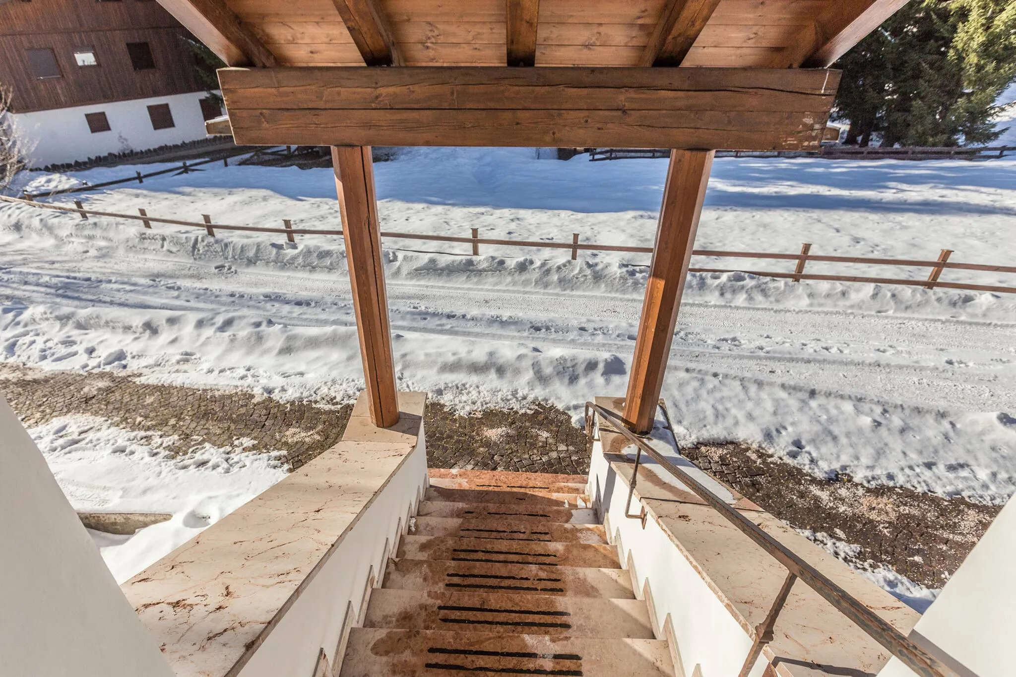 Cantore, Cortina - 55