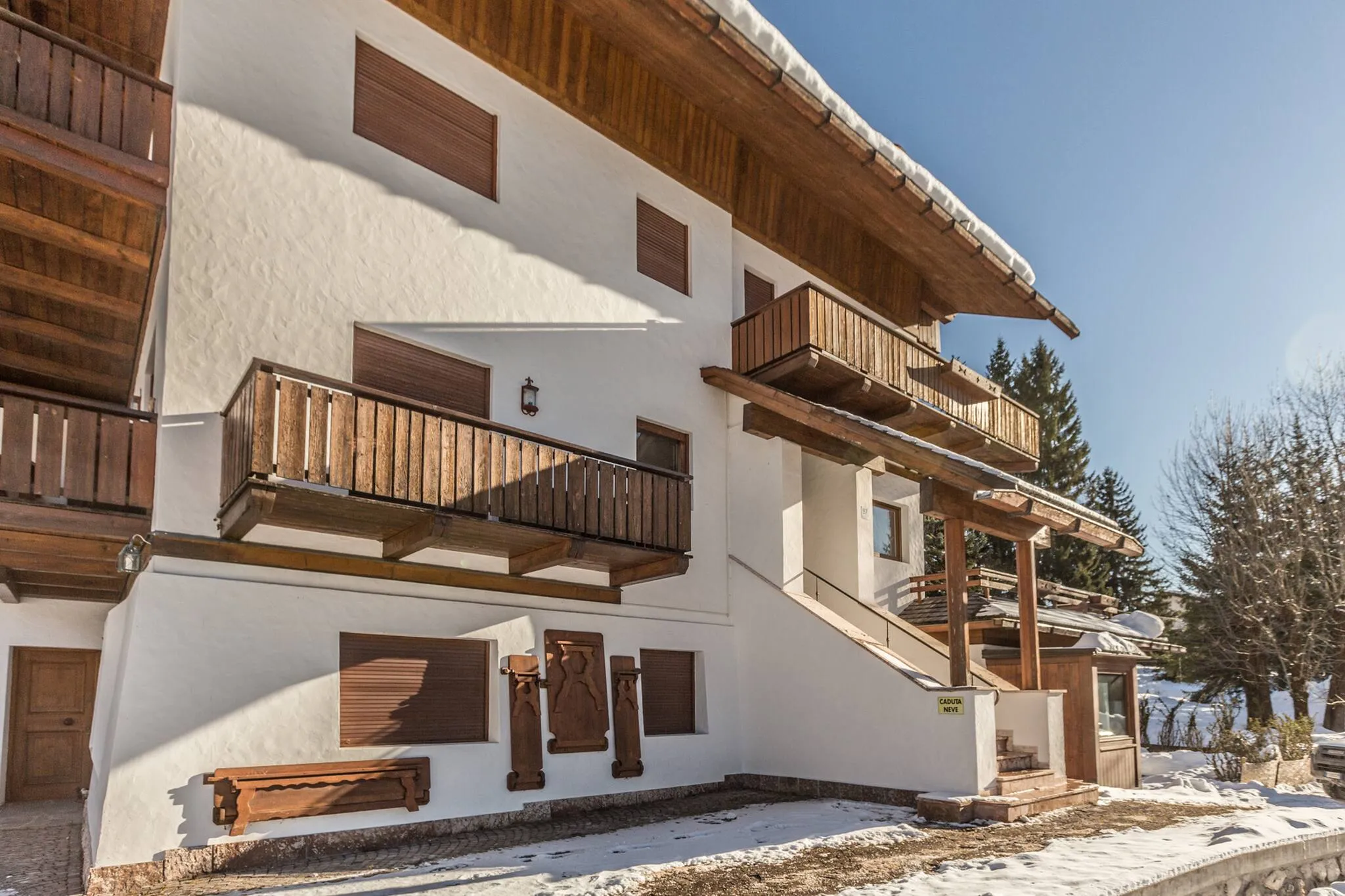 Cantore, Cortina - 60