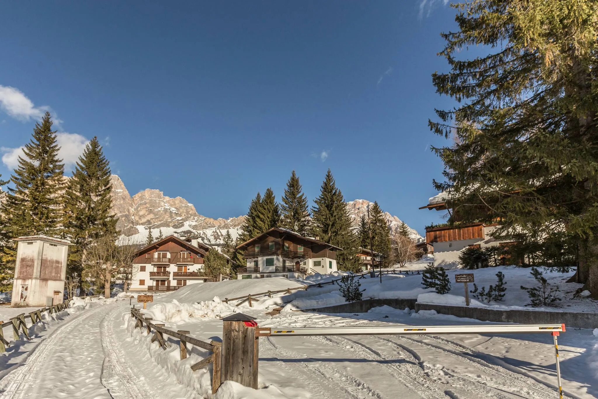 Cantore, Cortina - 61