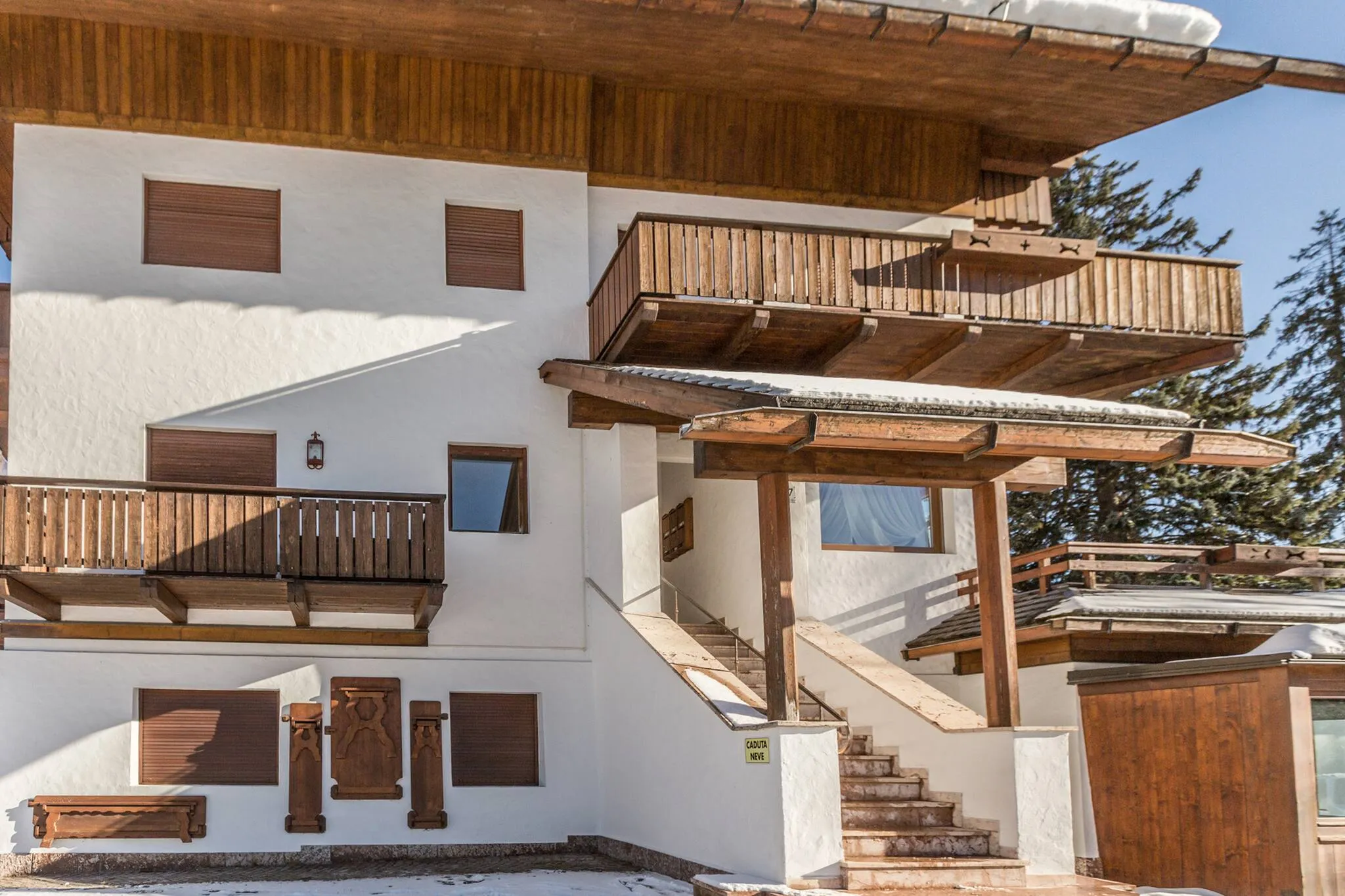 Cantore, Cortina - 62