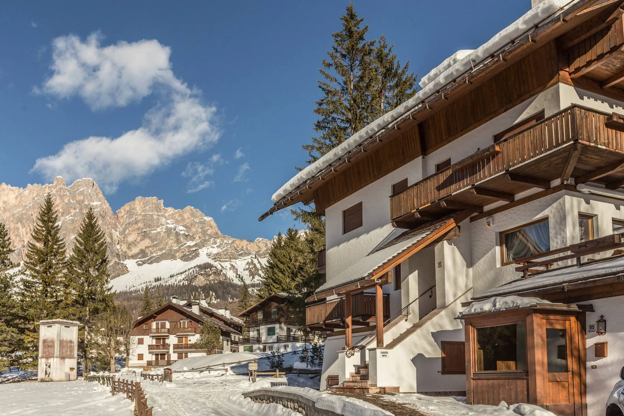 Cantore, Cortina - 63