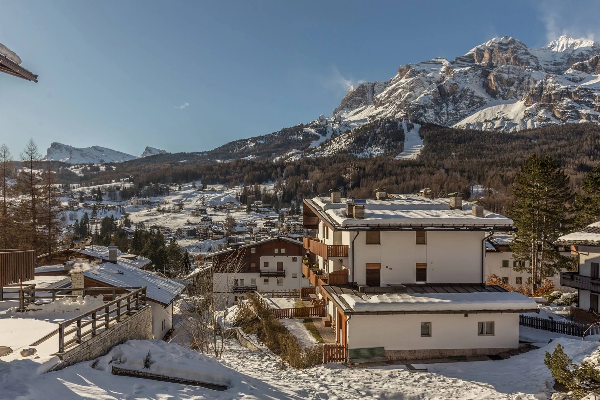Cantore, Cortina - 65