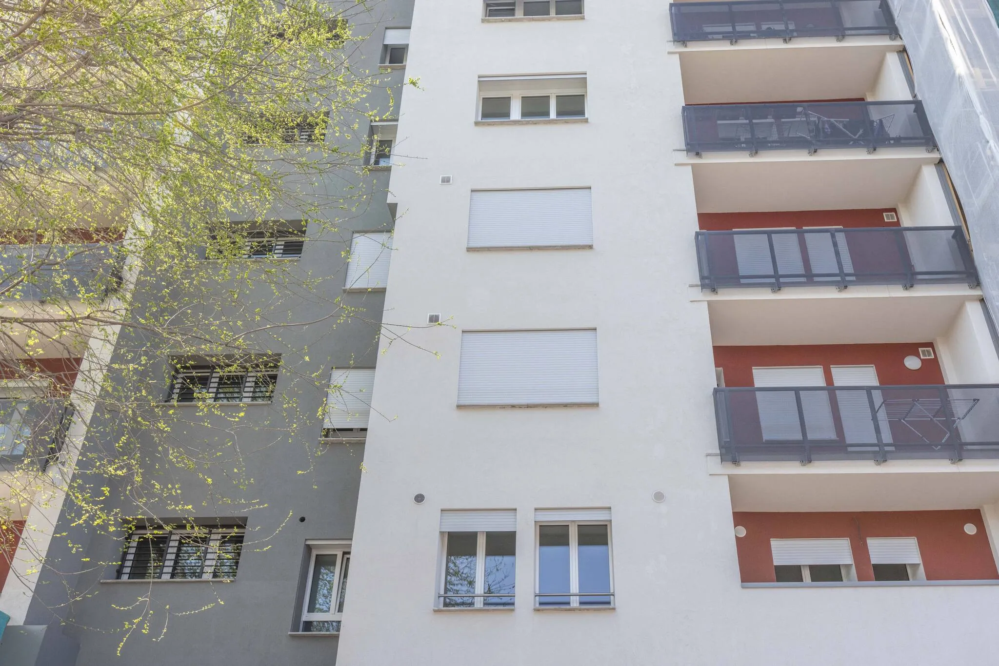 Malibò, Bologna - 3