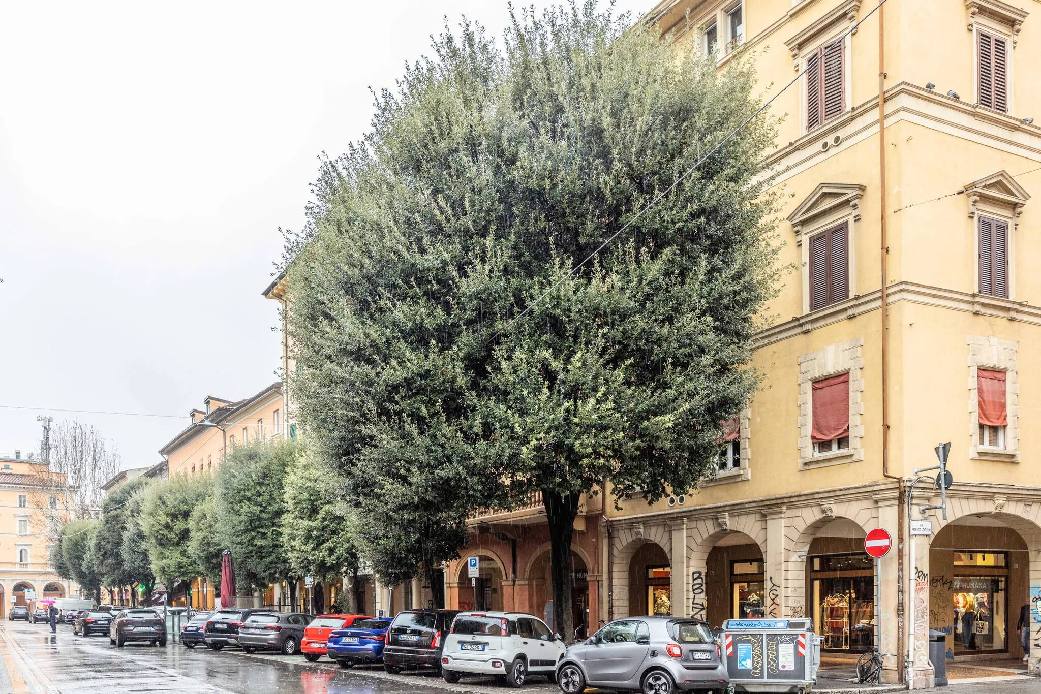 Maison chanel, Bologna - 17
